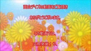 【芸能界・噂】結婚もうすぐ？とウワサの芸能人カップルまとめ一覧[衝撃]2017結ばれたタレント！