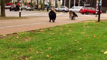 Un marquage au sol pour aider les cyclistes