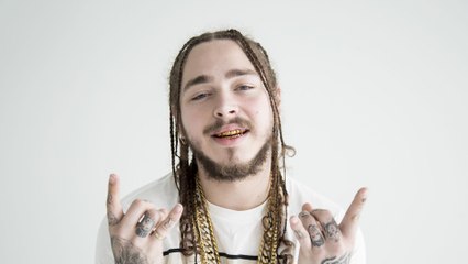 Post Malone - Rockstar: Music Video Overview