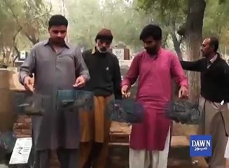 下载视频: لاش کو دفناتے ہی اگلے 15منٹ میں ہی یہ قبر میں گھس کر مردے کو کھا جاتے ہیں'