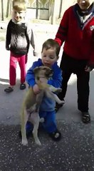 Hilarious Kids' Video – Perfect for a Fun Laugh! 😂