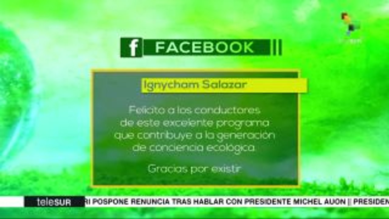 Zona Verde: Indonesia: Protección y conservación de espacios naturales