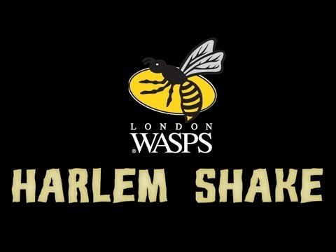 London Wasps Harlem Shake