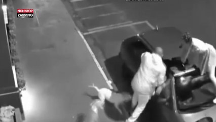 Deux pitbulls attaquent violemment deux femmes dans la rue (Vidéo)