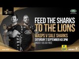 Wasps' summer signings look ahead to Sale Sharks