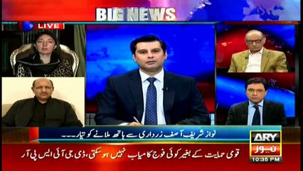 PPP cannot save Nawaz Sharif from court, says Sharmila Farooqui