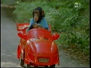 Il nostro amico Charly 13x13 - Partenza per Dubai