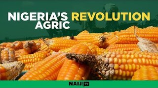Nigeria’s agricultural revolution kick-starts in Nasarawa state