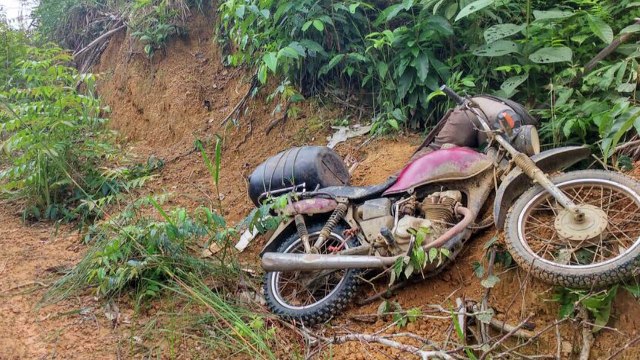 Brasil exporta madera manchada de sangre, denuncia Greenpeace