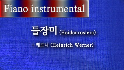 들장미 - 베르너 (Heinrich Werner)
