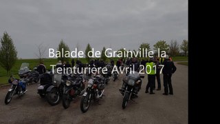 Balade de Grainville la Teinturière Avril 2017