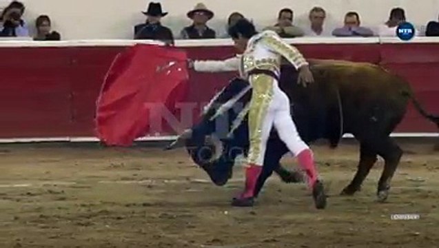 Un taureau plante une corne dans l'entrejambe du torero Luis David Adame (Mexique)