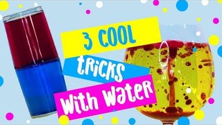 3 easy magic tricks with water! DIY lava lamp