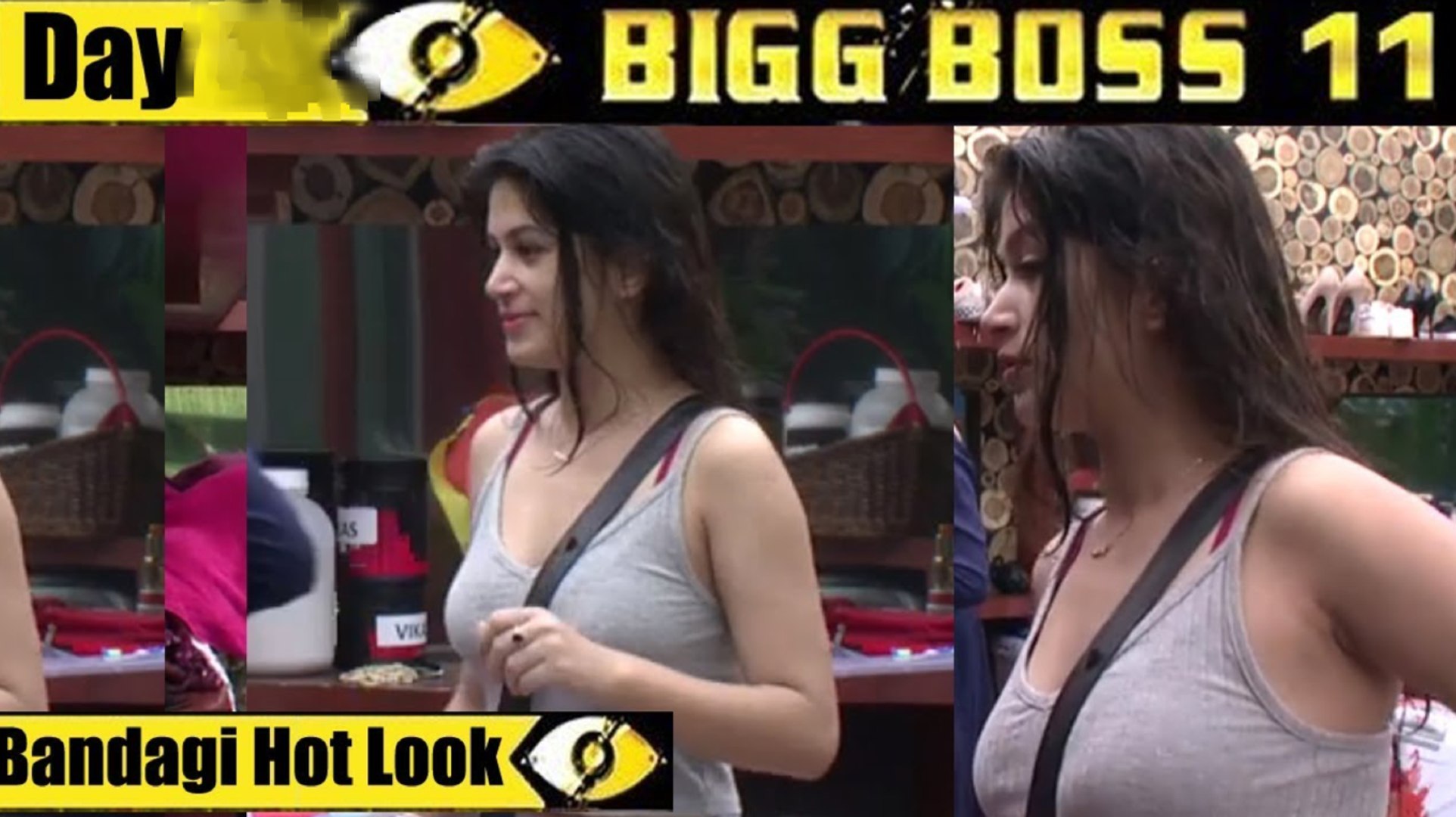 bigg boss 11 dailymotion