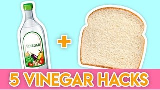 Simply genious vinegar hacks