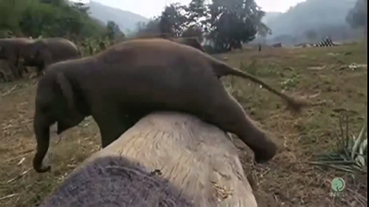 Funny Clips in 30 Seconds (2)