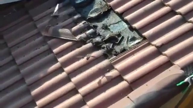 Regardez ce qu'il découvre sous les tuiles de son toit en faisant des travaux... Des centaines de chauve-souris!