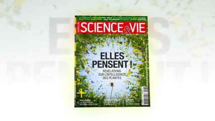 Découvrez quelques pages de votre nouveau Science & Vie n°1203 "Révélations sur l'intelligence des plantes"
