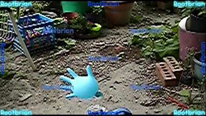 Nitrile glove pop, levitation successes and fails via forced air