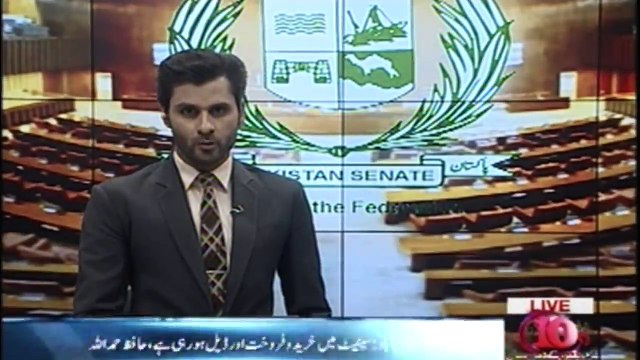 Elections are postponing Just Because Of PPP , Hafiz Hamdullah