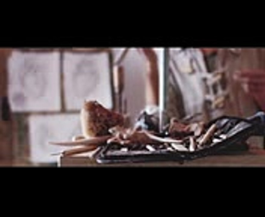 Have It All  Promo Video