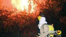 Vídeo impressionante mostra incêndio destruindo plantações de coco na região de Sousa