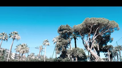 SIX - FATY ft. Dj Kader K & Sirsy (Clip Officiel)