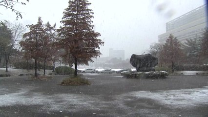 충청에 대설주의보...최고 3cm 더 예보 / YTN