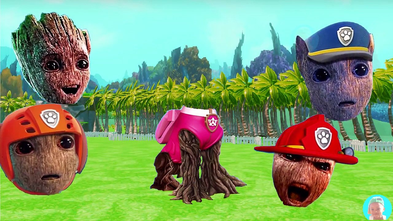 Old MacDonald Had A Farm Paw Patrol Baby & Childrens Wrong Heads Nursery Rhymes Videos Baby Groot Ki