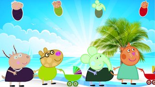 Peppa Pig Baby for Learn Colors! Wrong Babies Peppa Finger Family Song Nursery Rhymes for Kids Toddl