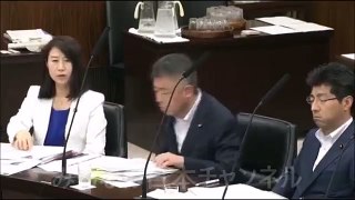 国会 義家副大臣熱弁！ 「勇気があるとかないとかじゃない！」「課長補佐以上しか現実に関わって いないにもかかわらず国会や マスコミで取り上げられている」 加計問題 最新の面白い国会