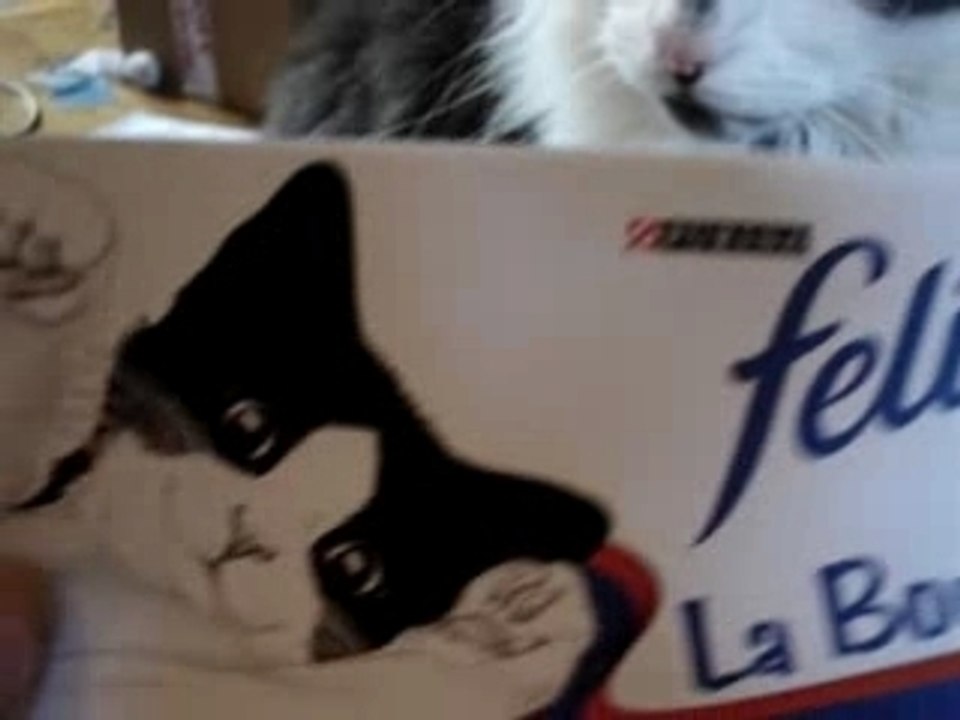 Reportage président 2