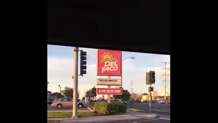 Fresh Avocado Vine-bE4C8a48o1E