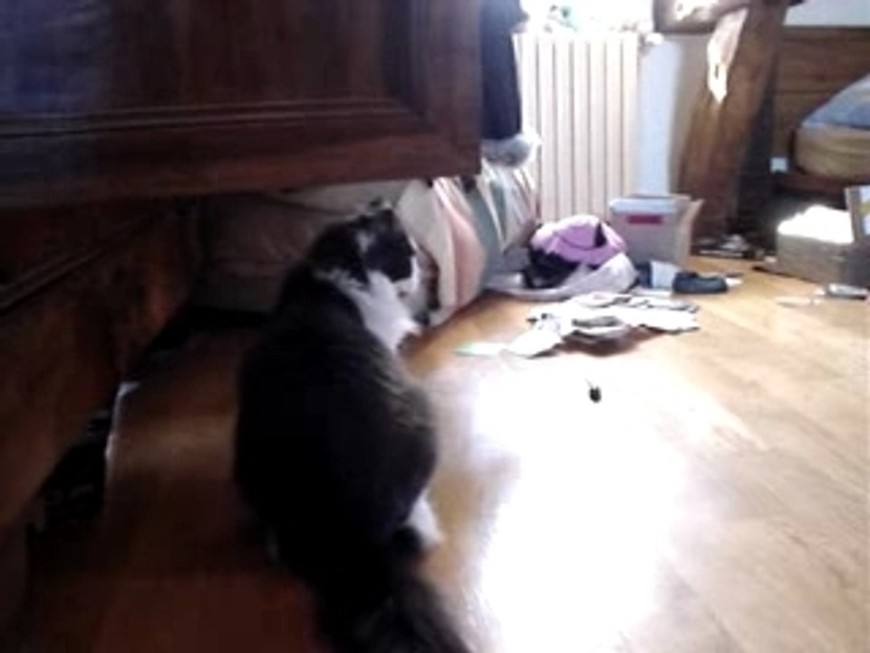 Reportage président 3