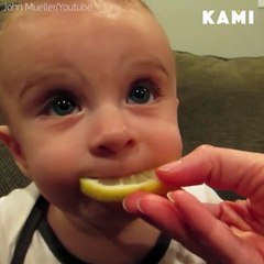 Baby Eat Lemon Very Laughing Videos -hd