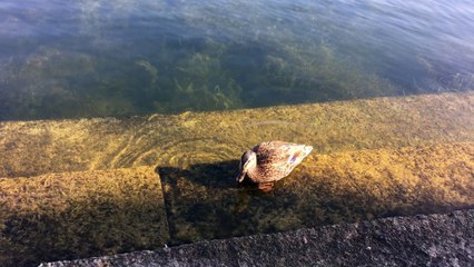 SJW Marvel Needs Less Twitter, More Jane Austen