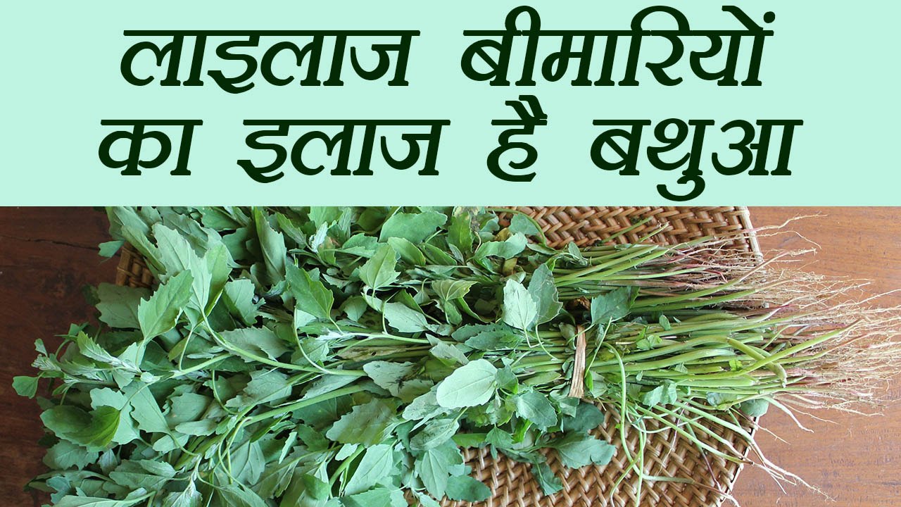 Bathua, बड़ी बड़ी बीमारियों का इलाज है बथुआ | Chenopodium album Health Benefits | Boldsky