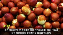 의사들도 감탄한 천연 만병통치약 꿀의 숨겨진 14가지 효능
