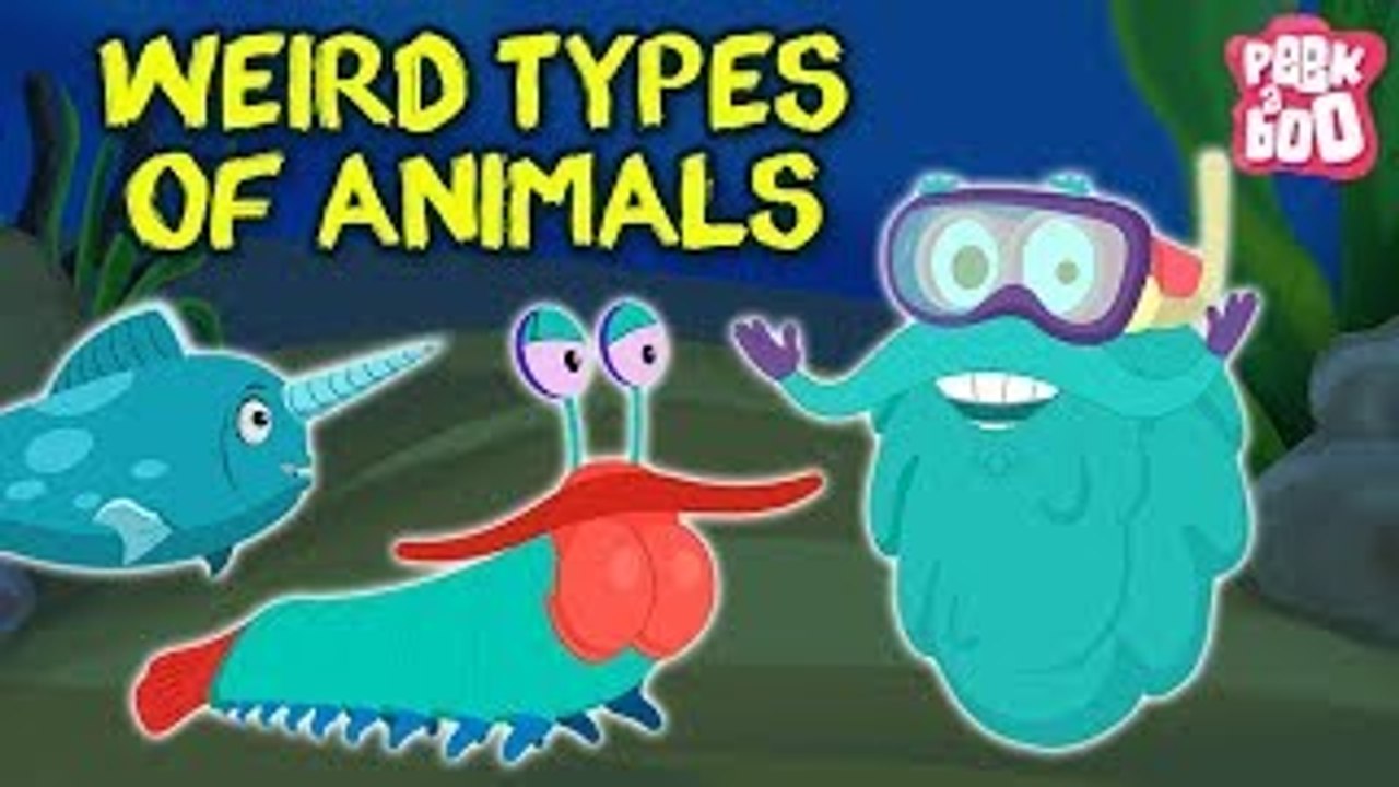 Weird Animals In The World The Dr. Binocs Show Best Learning Videos