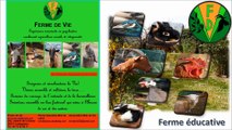 «Ferme de Vie» – Ferme thérapeutique, Castagniers.