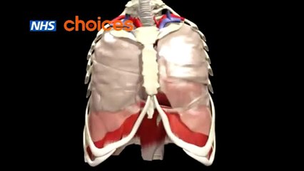 Bronchial Asthma- Medical Videos
