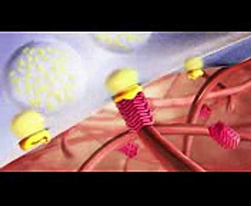 Platelet Activation and Factors for Clot Formation