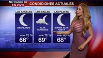 Hot Weatherwoman's Semi-Sheer Top Wins Her Fans Across The Globe