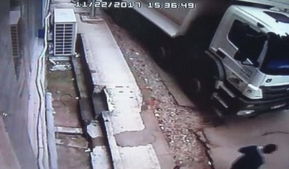 Hafriyat kamyonu yarım asırlık ağacı böyle devirdi