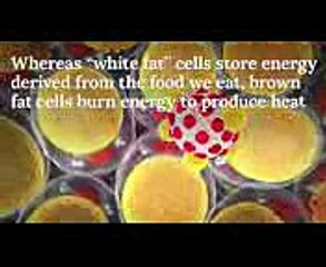 You Asked Is Being Cold Good For You A Groundbreaking Study From 1961 Reveals The Answer  TIME