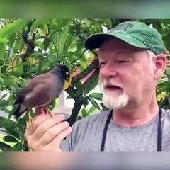 Ce homme et son oiseau chantent ensemble.. Duo adorable