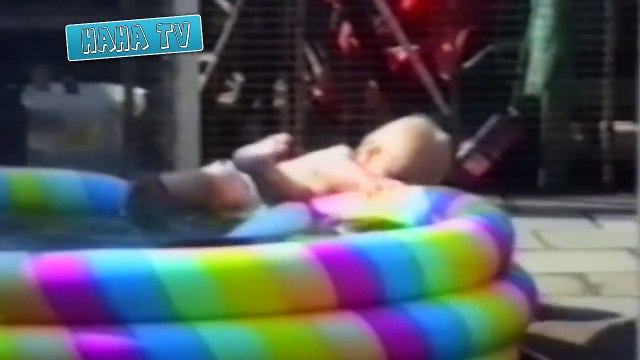 Babies Eating Lemons for the First Time Compilation | Cute Dogs And Adorable Babies: Compilation