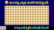 జీనియస్ మాత్రమే 15 సెకన్లలో కనిపెడతారు Find the Different Symbol  Optical Illusions  Mana Telugu