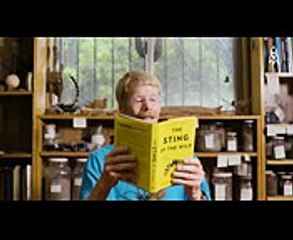 The Man Of 1000 Insect Stings