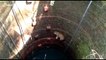 Agile leopard escapes watery grave after falling into deep well